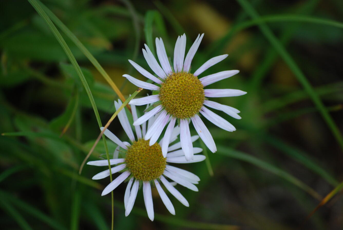 Image: No Title Available