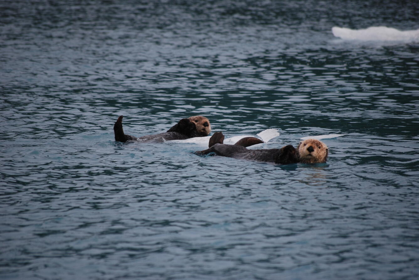 Image: No Title Available