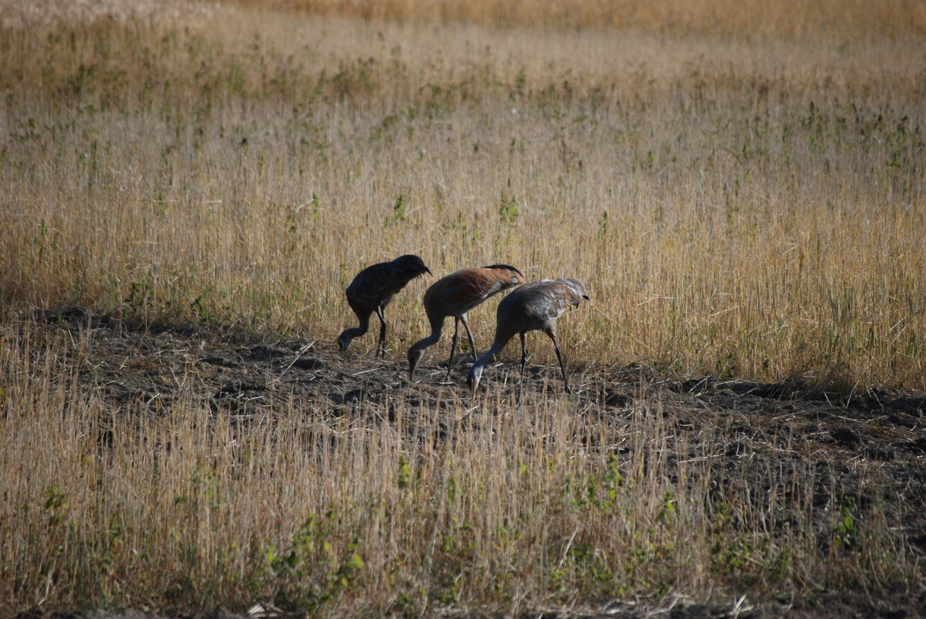 Image: No Title Available