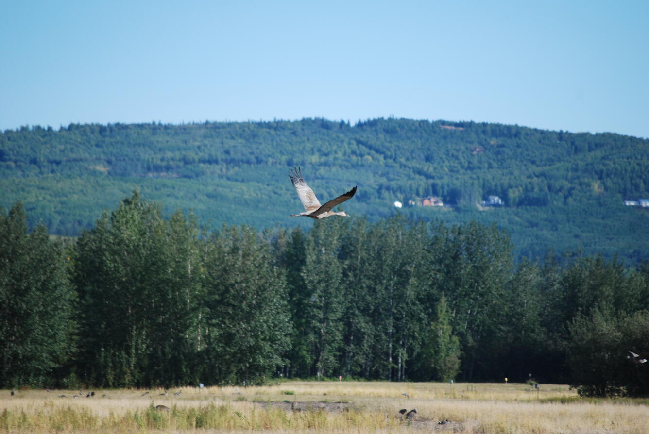 Image: No Title Available