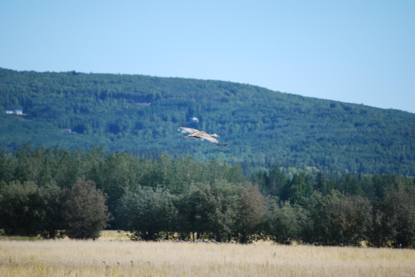 Image: No Title Available