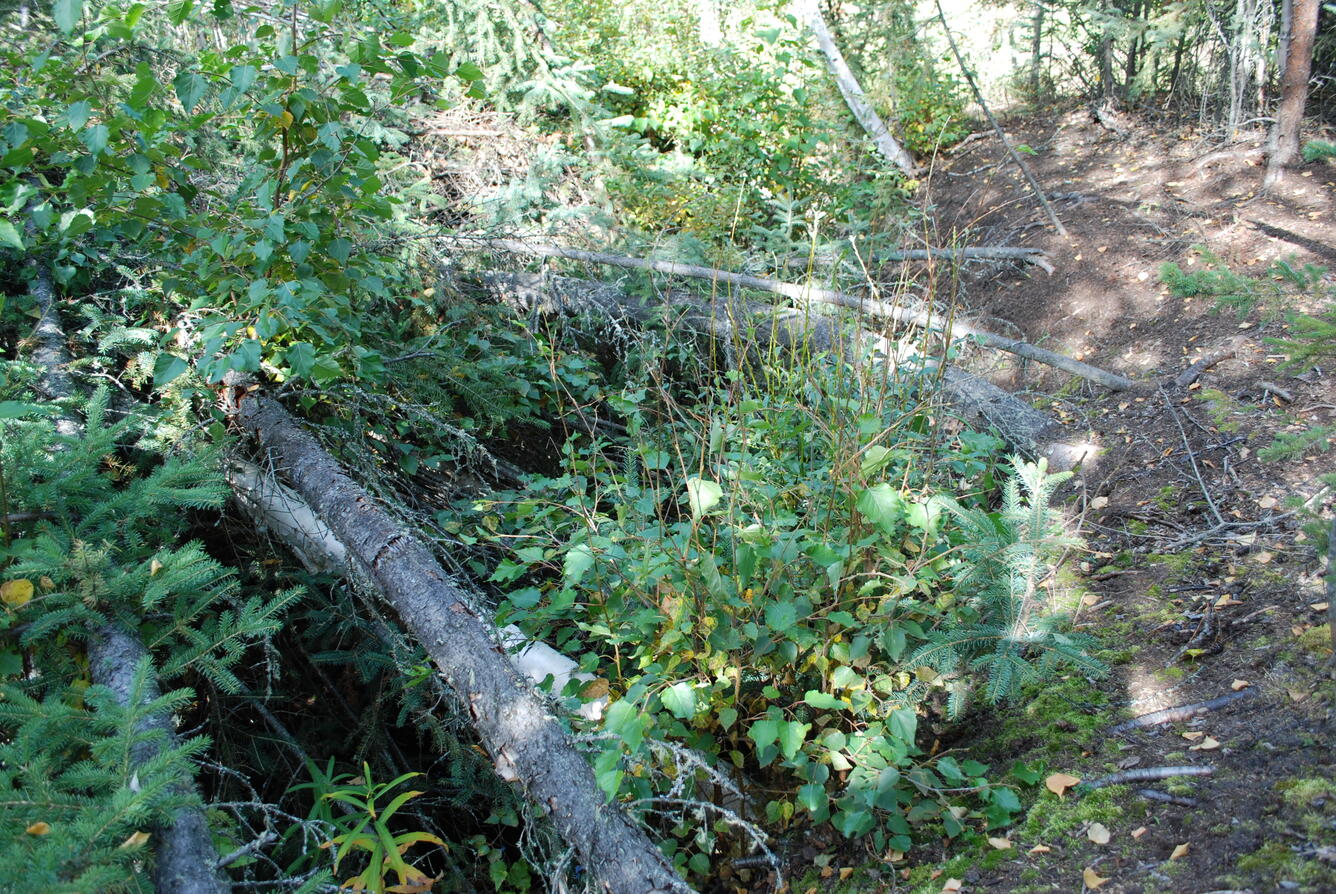 Image: No Title Available