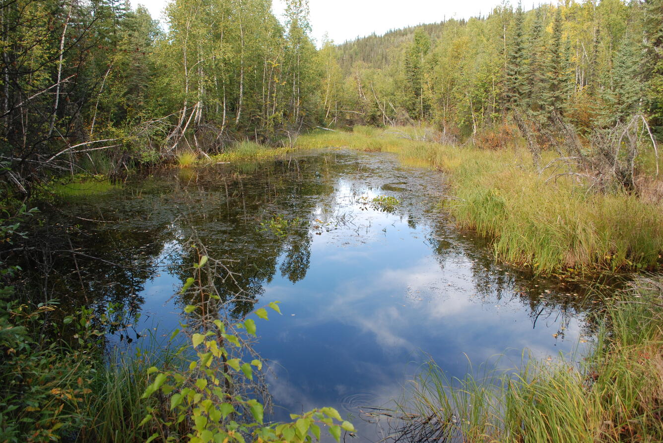 Image: No Title Available