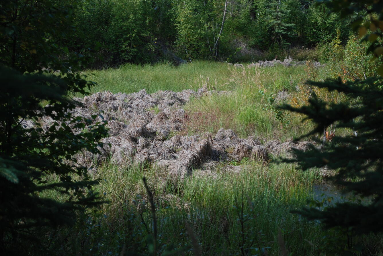 Image: No Title Available