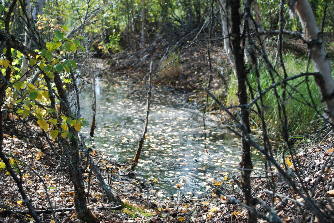 Image: No Title Available