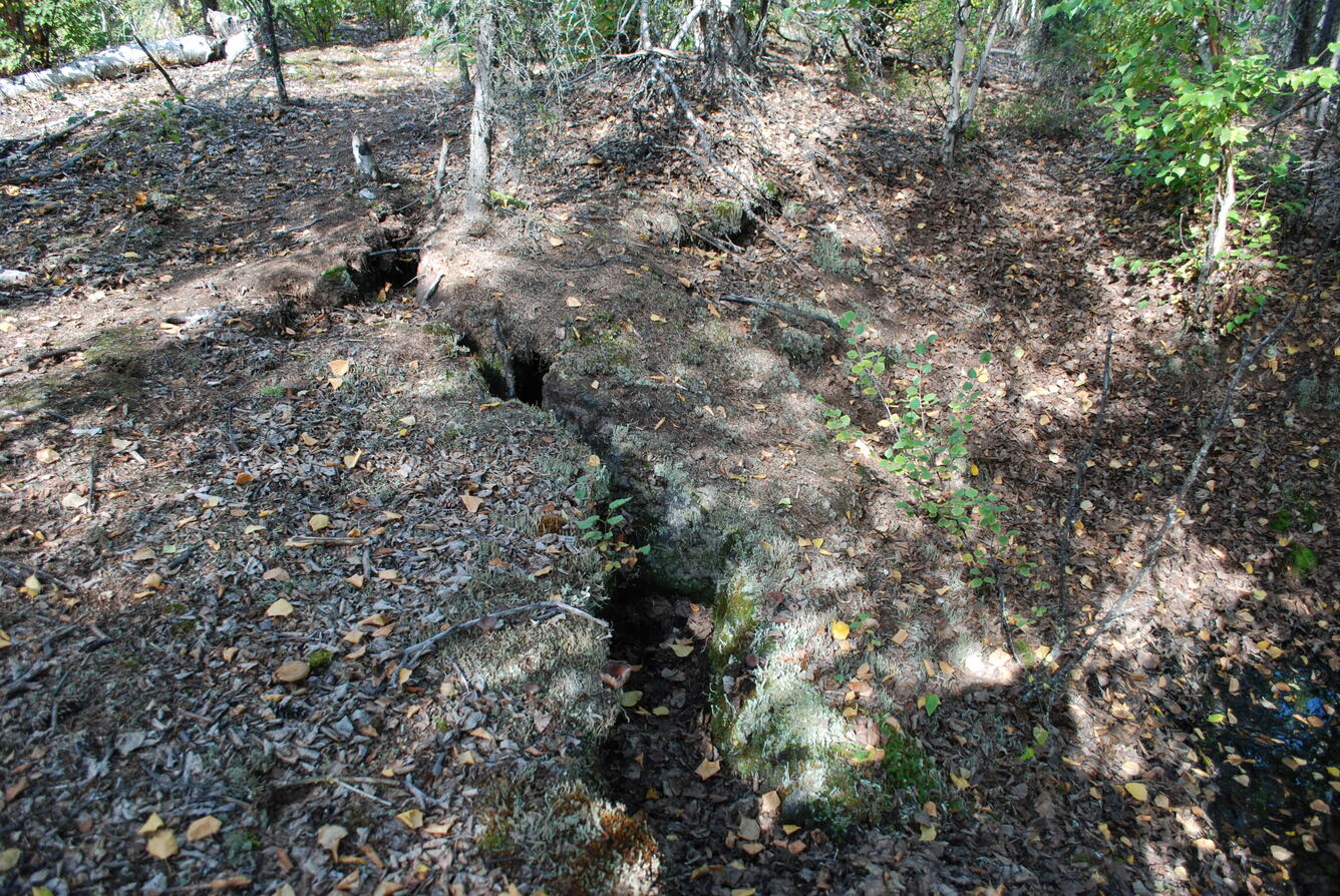 Image: No Title Available