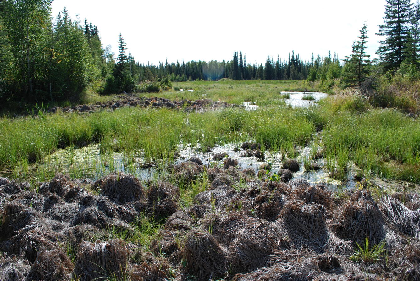 Image: No Title Available