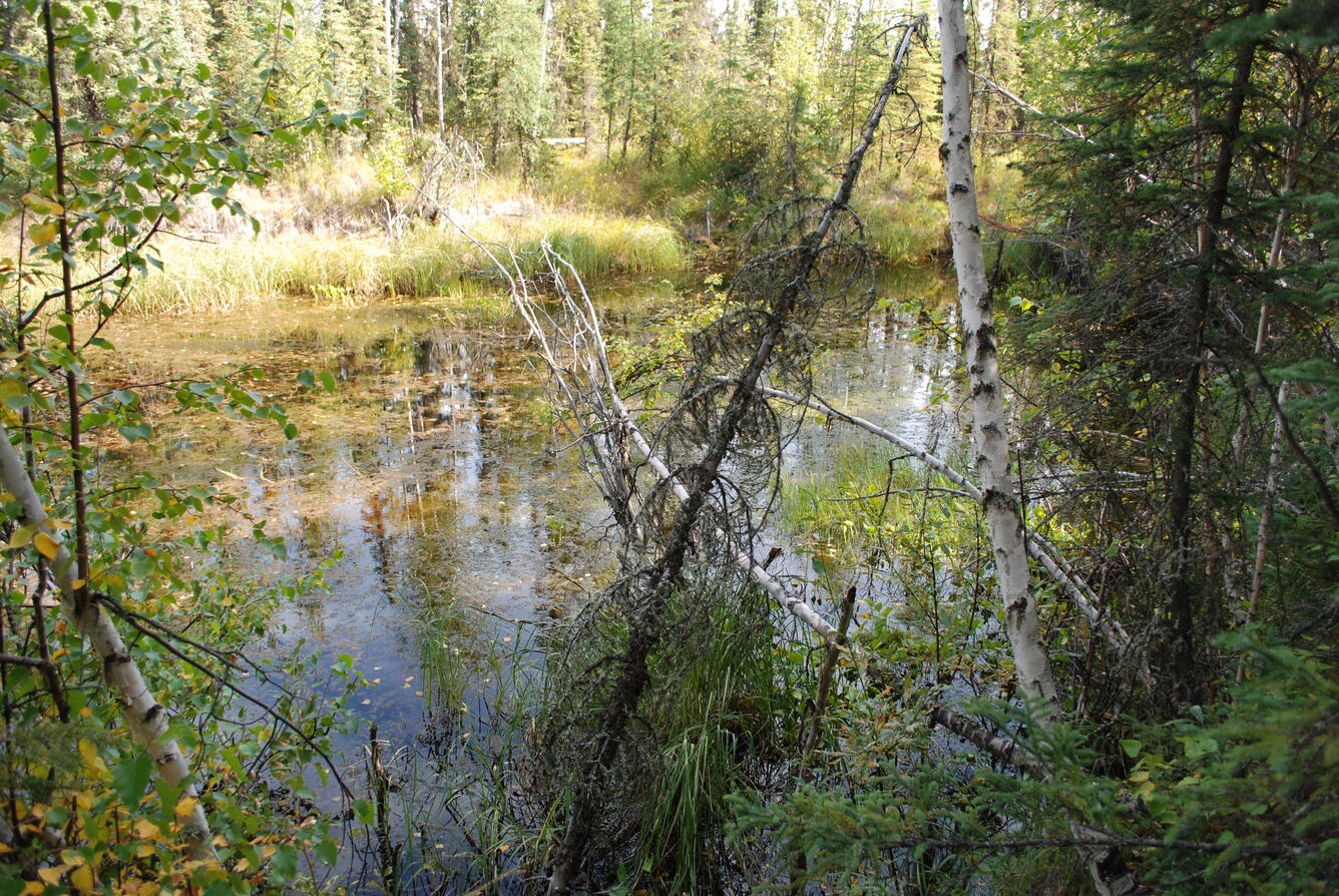 Image: No Title Available