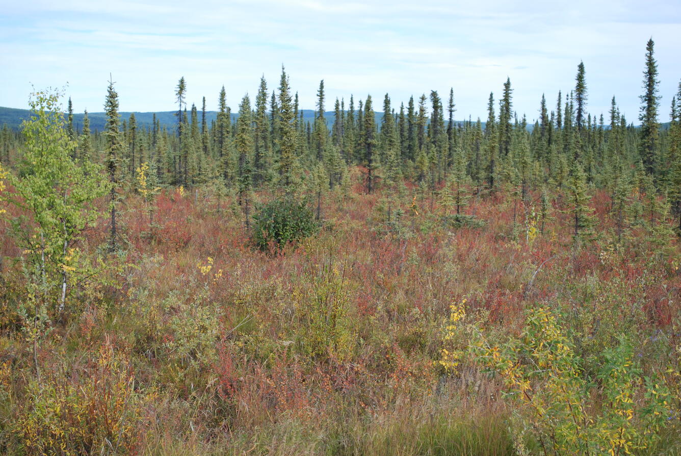 Image: No Title Available