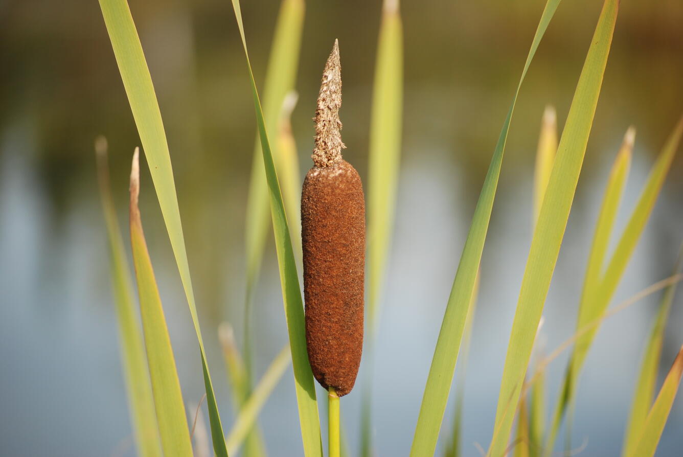 Image: No Title Available