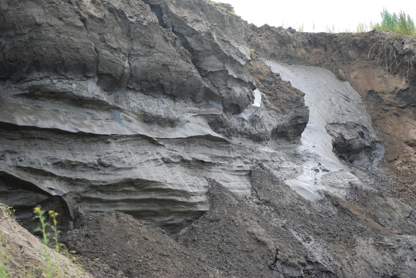 Image: No Title Available