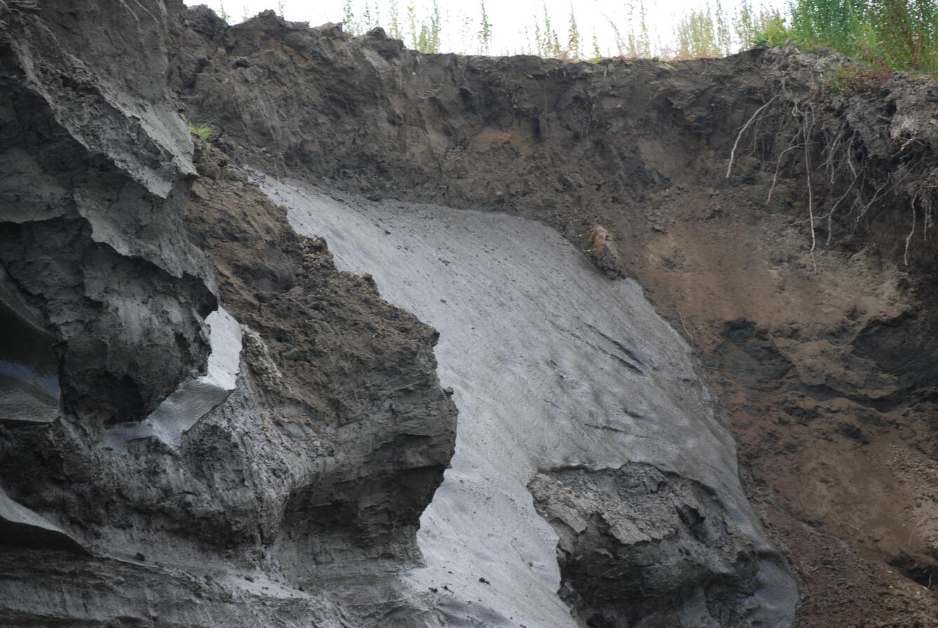 Image: No Title Available