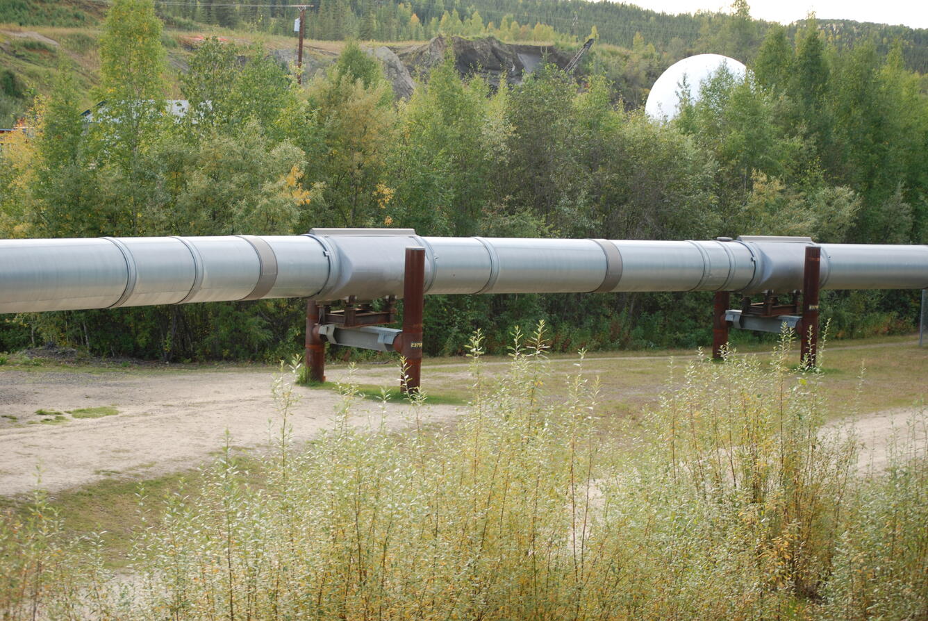 Image: No Title Available