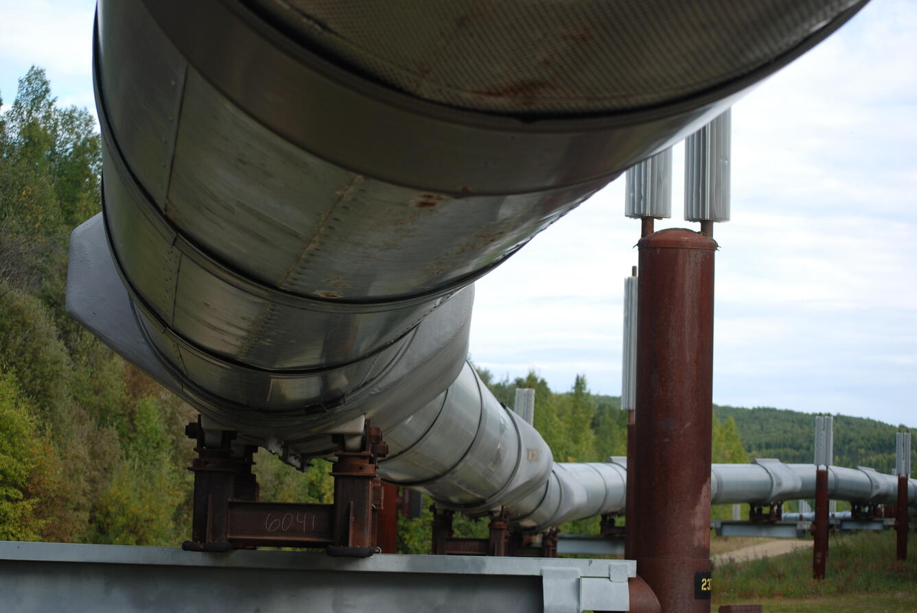 Image: No Title Available