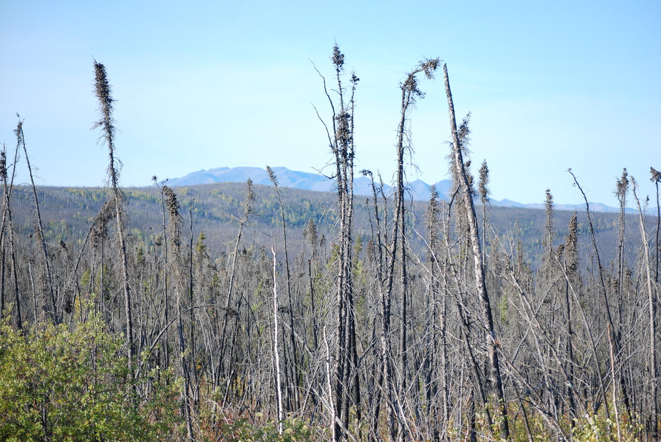 Image: No Title Available