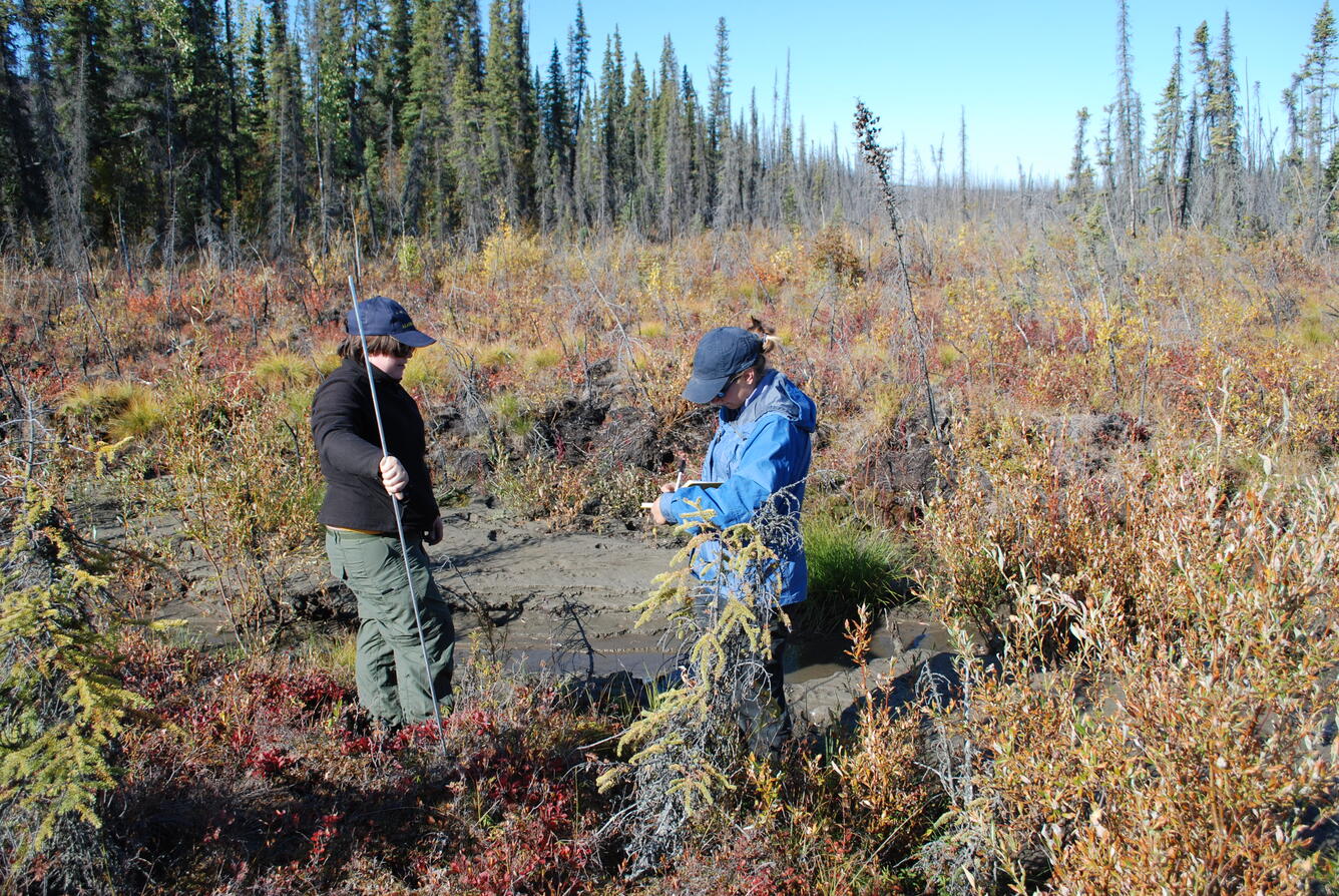 Image: No Title Available