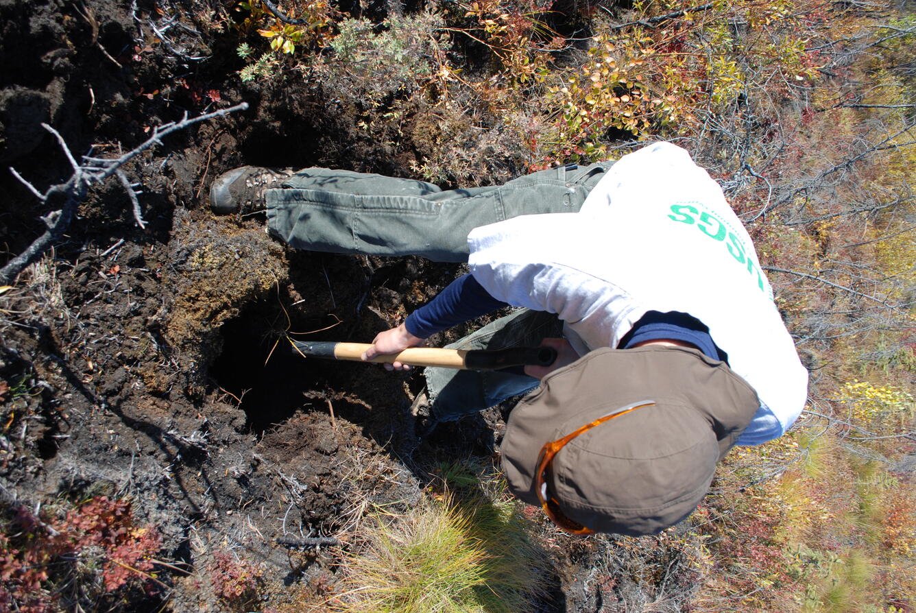 Image: No Title Available