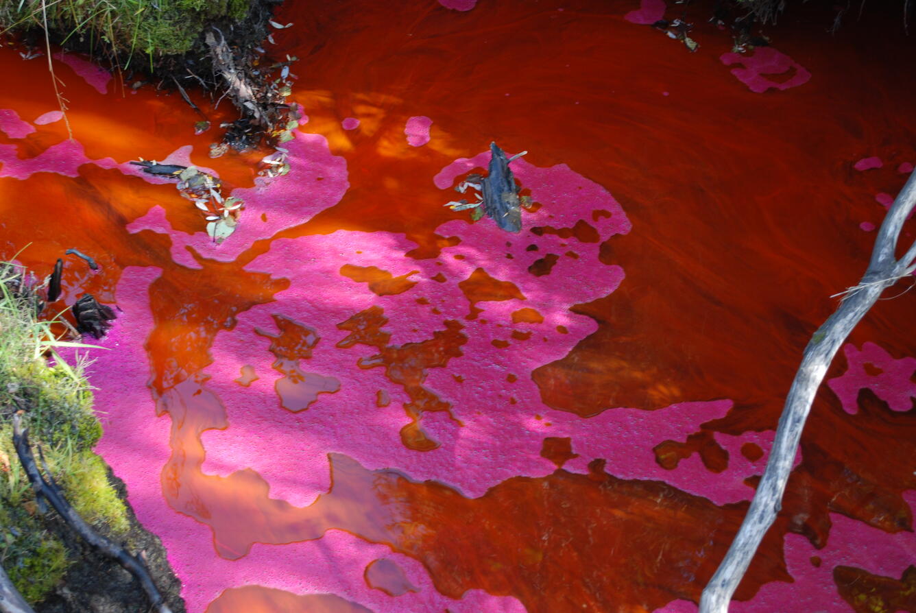 Image: No Title Available