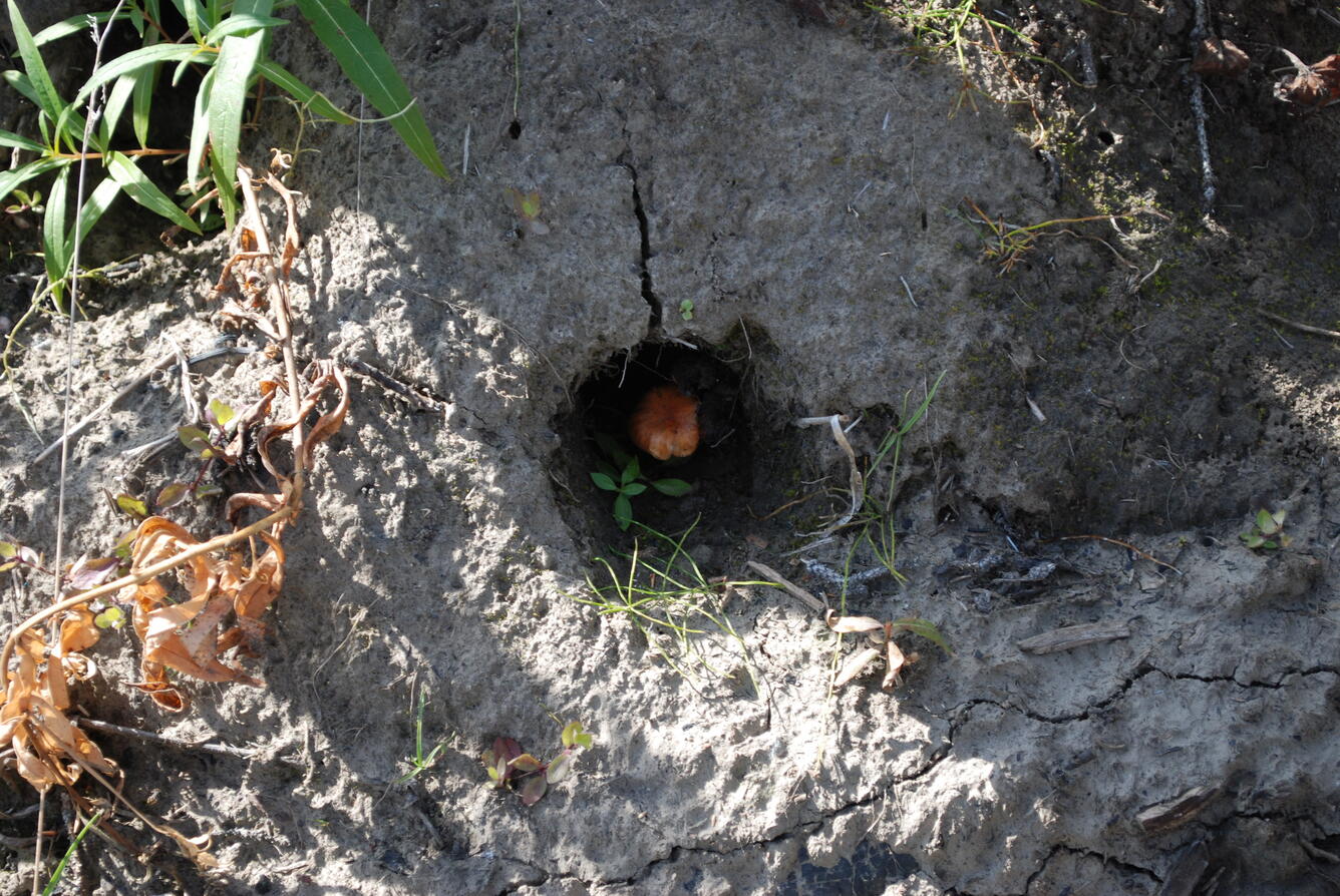 Image: No Title Available