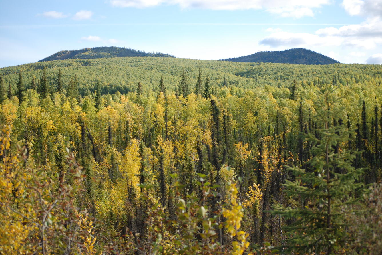 Image: No Title Available