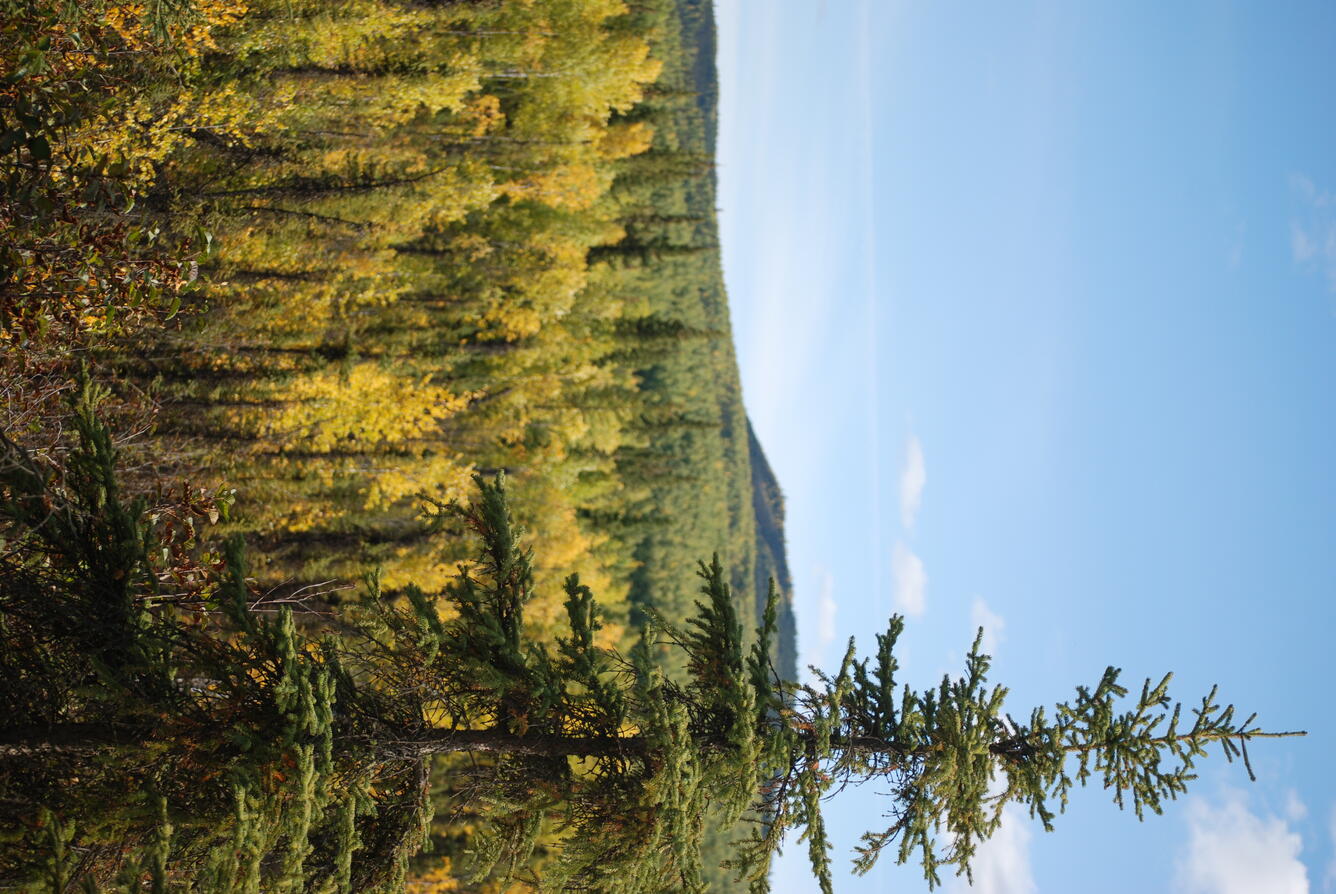 Image: No Title Available