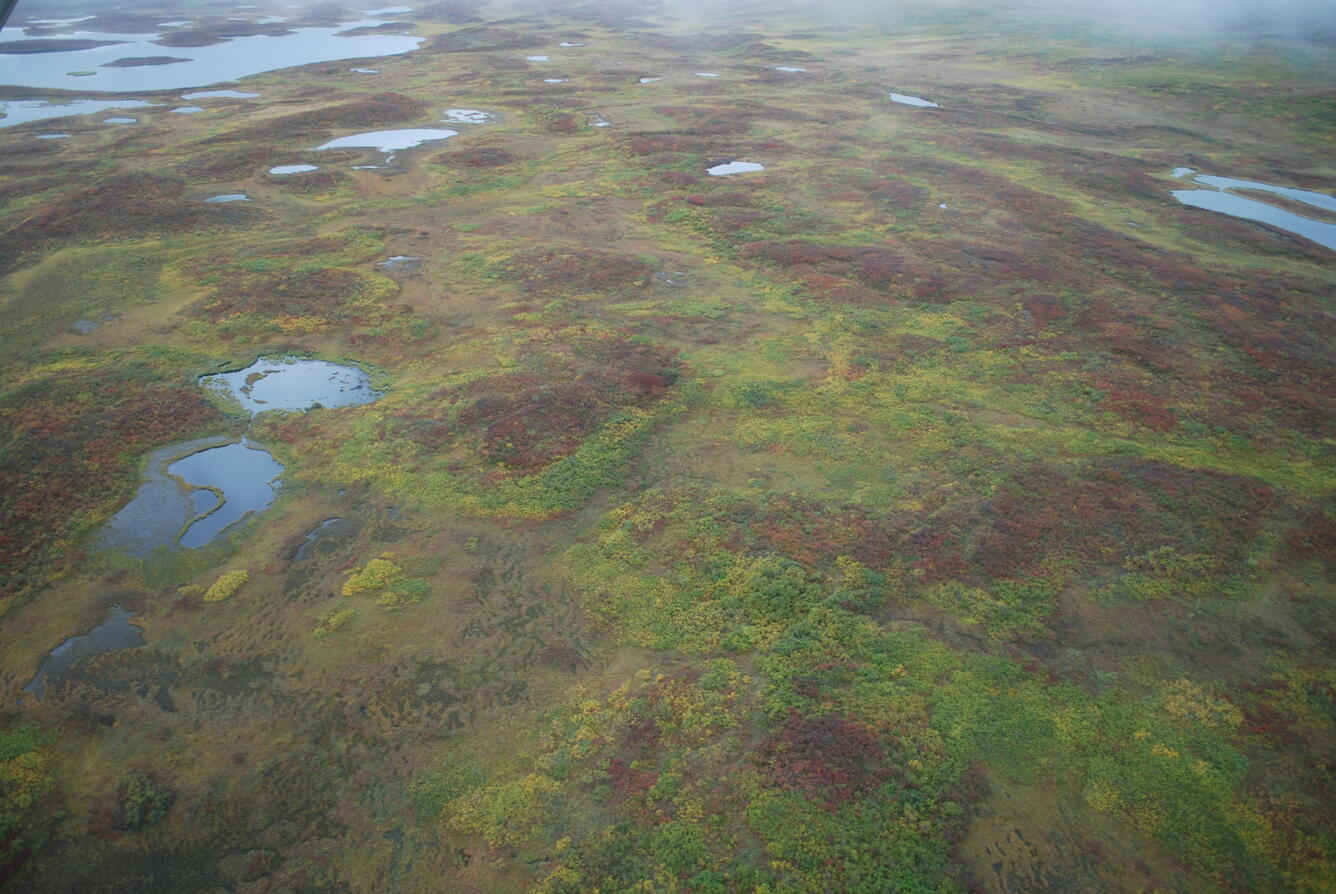 Image: No Title Available