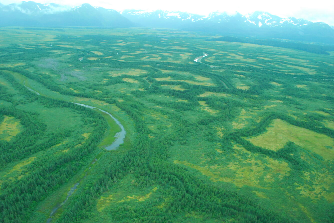 Image: No Title Available