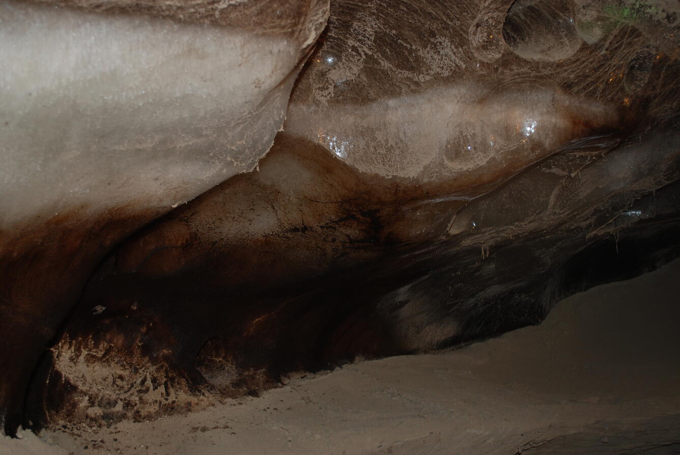 Image: No Title Available