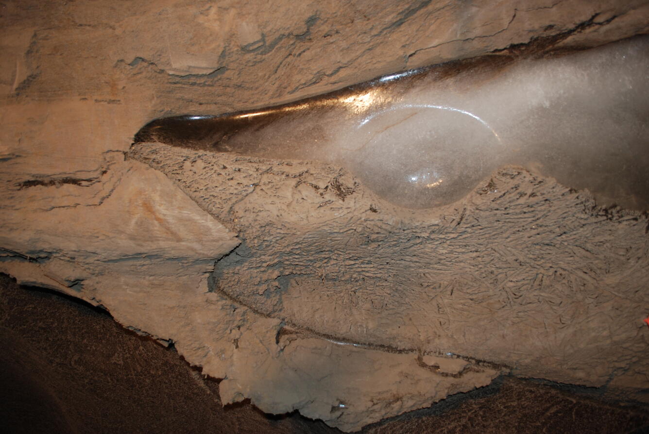 Image: No Title Available