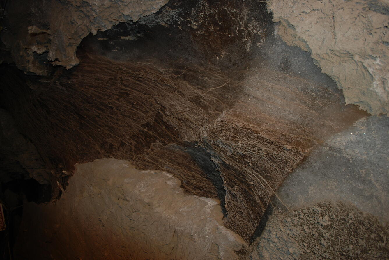 Image: No Title Available