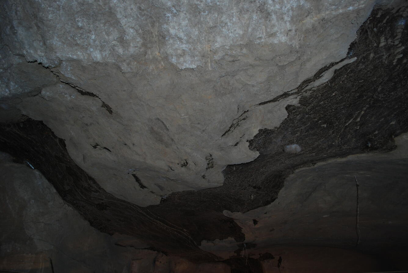 Image: No Title Available