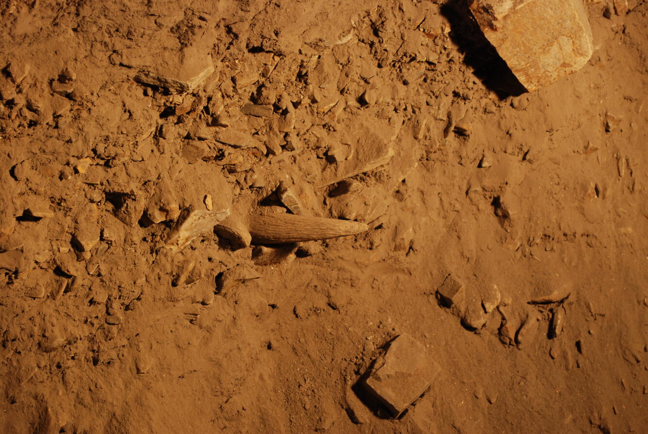 Image: No Title Available