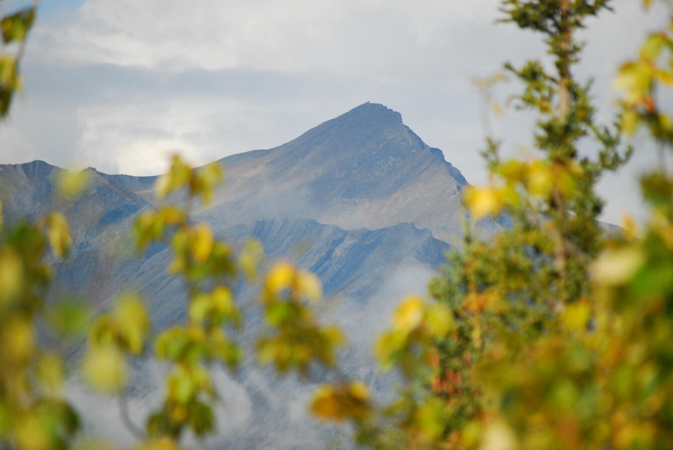 Image: No Title Available