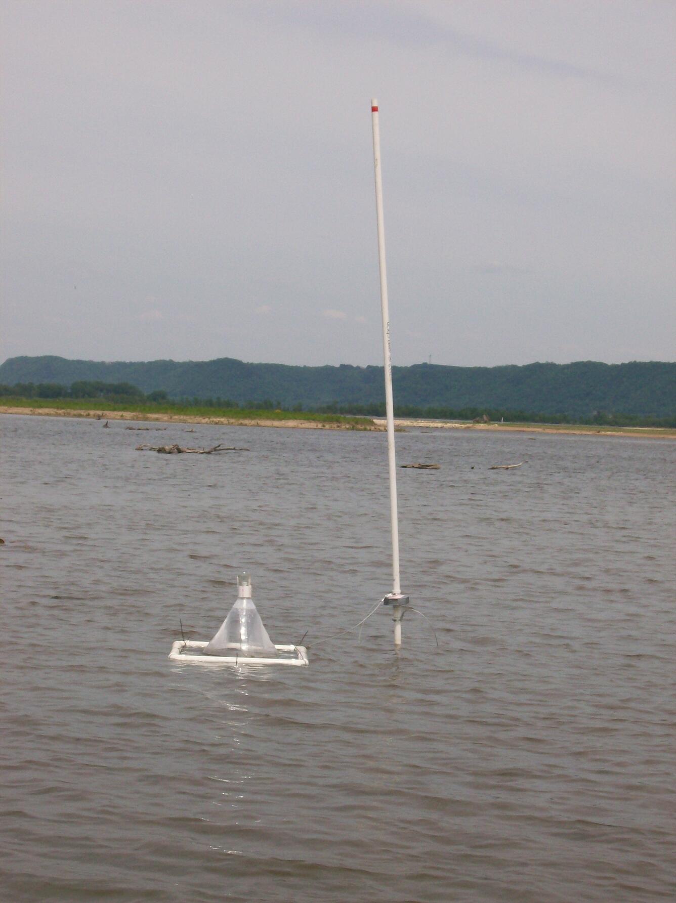 Image: Insect trap on the Upper Mississippi River