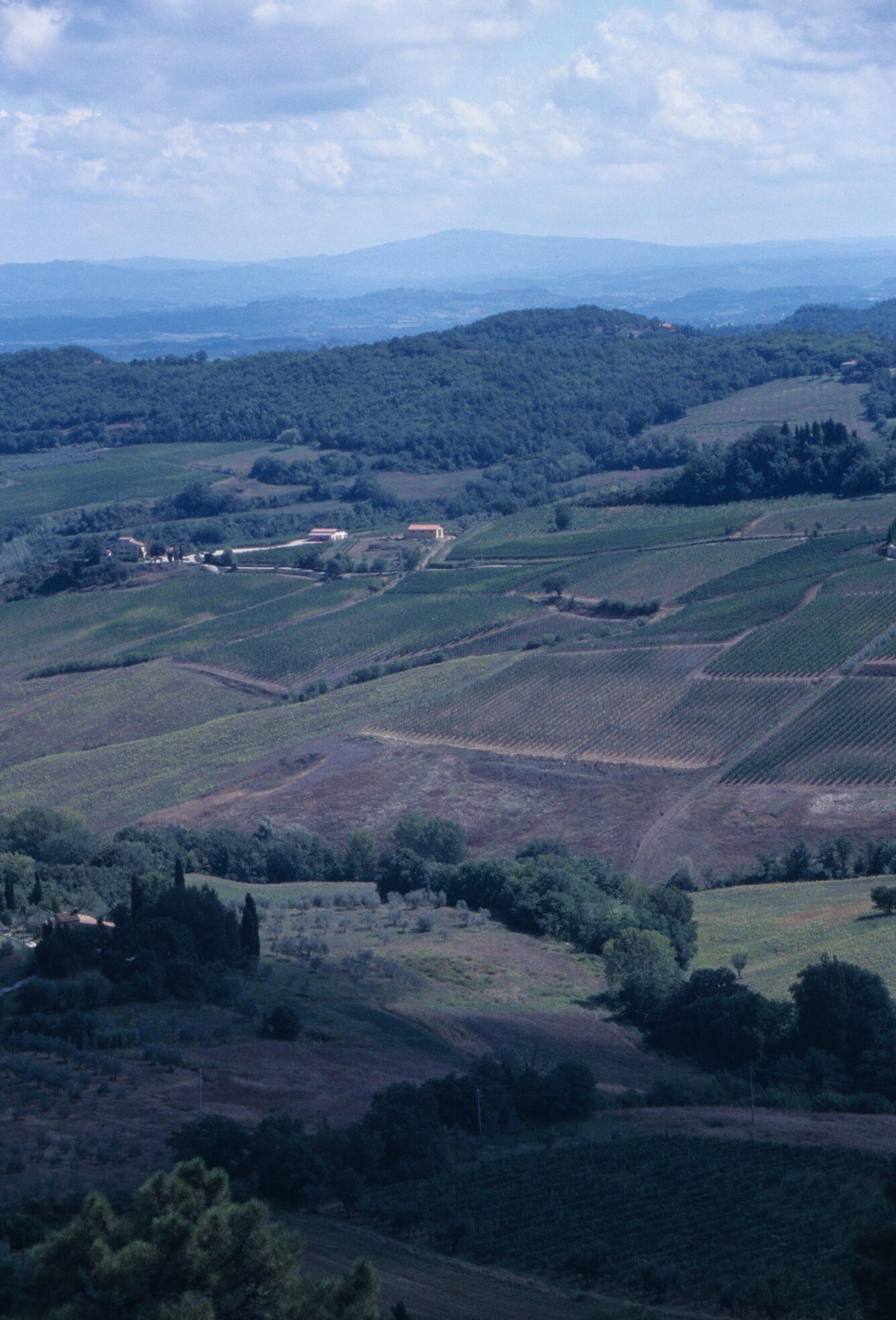 Image: Italian Countryside