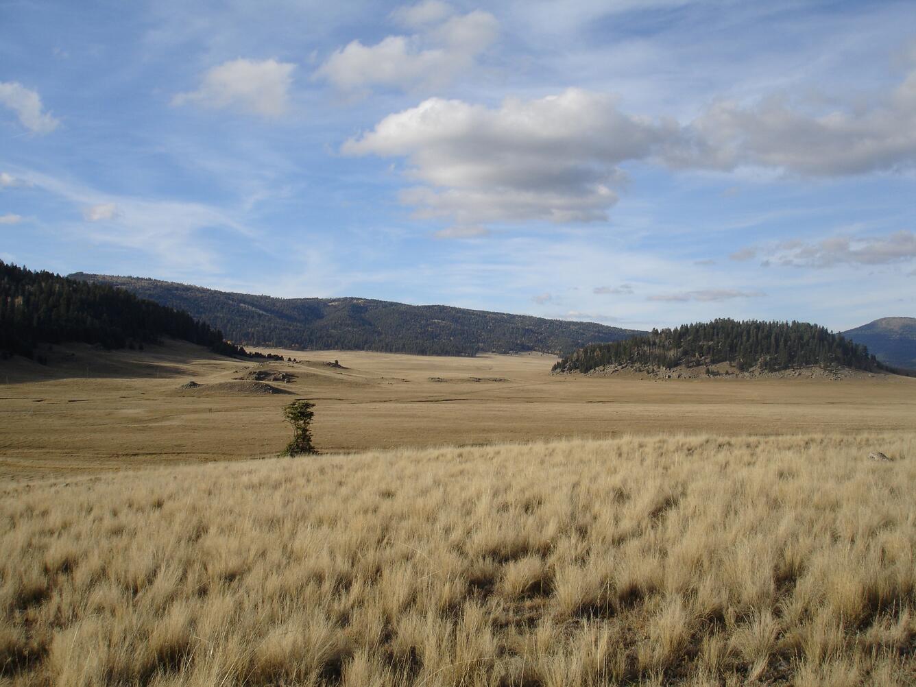 Image: Landscape View of Valles Caldera