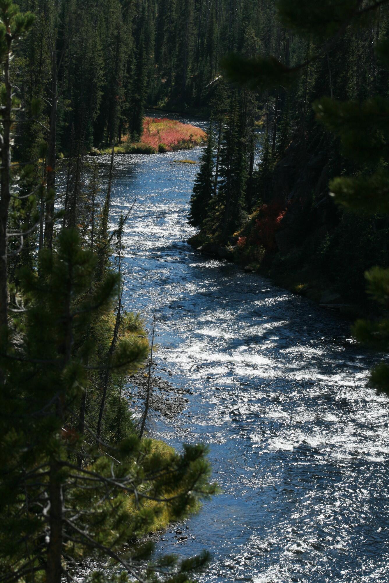 Image: Snake River and Hints of Autumn