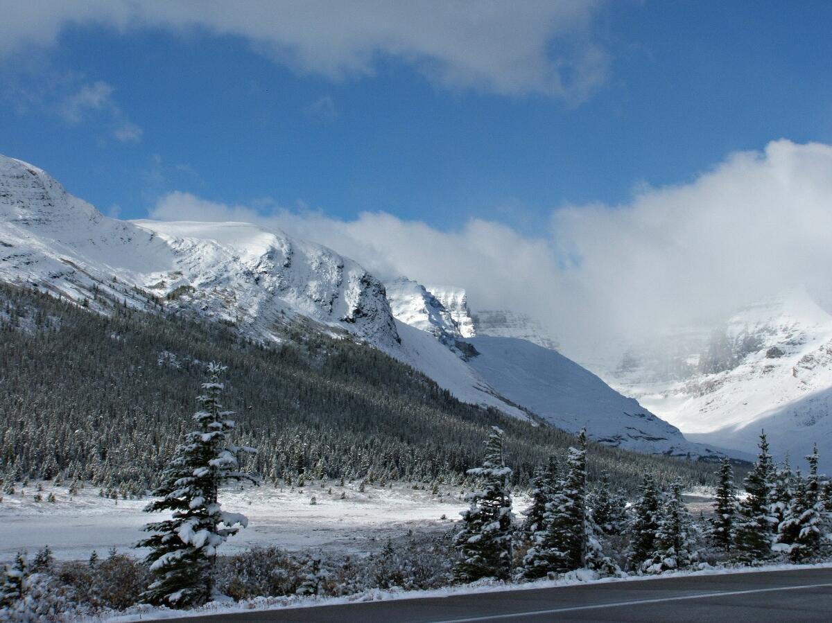 Image: Winter Snows in Canada's Forests and Mountains