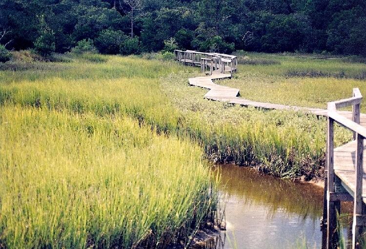 Image: Amelia Island Marsh Boardwalk