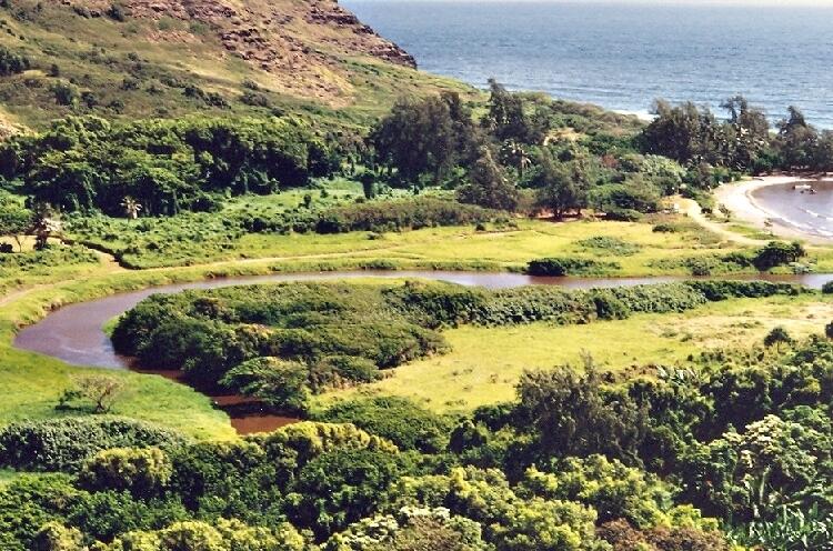 Image: Winding stream on Molokai (Maui)