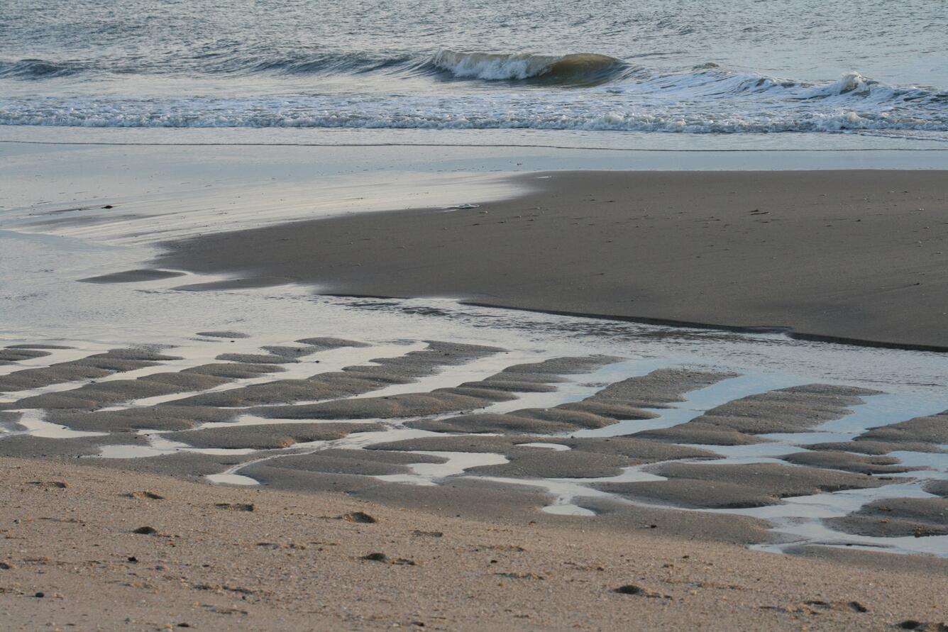 Image: Sandbars Left by Receding Tide