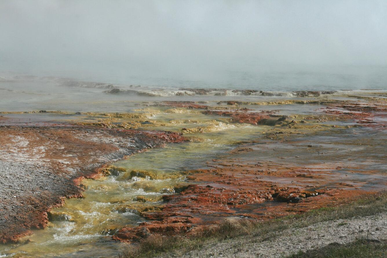 Image: Extremophilic Microbial Mats