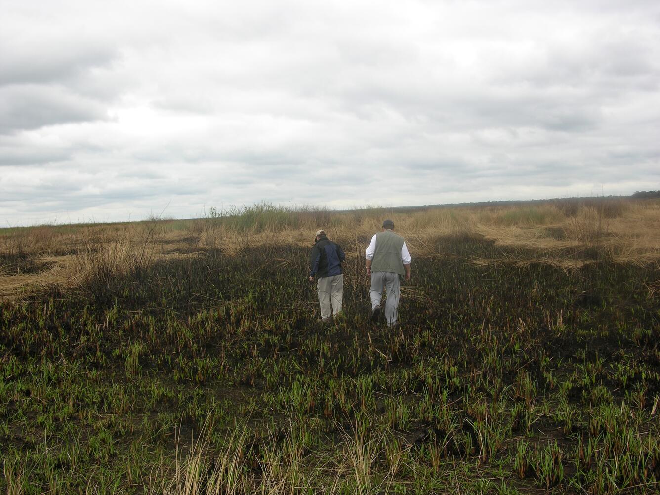 Image: Burned Wetland Near Tebicuary River