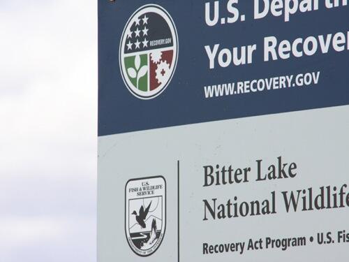 video thumbnail: Restore Pecos River Flows at Bitter Lake National Wildlife Refuge