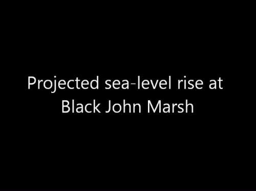 video thumbnail: Sea-level Rise Scenario for San Francisco Bay Estuary - BlackJohn Marsh