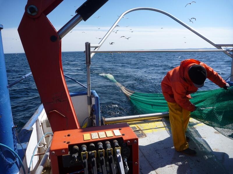 Image: Bringing Trawl in Aboard R/V Kaho