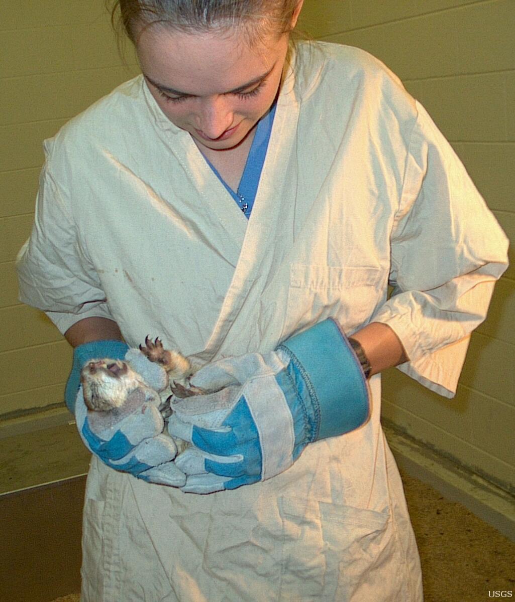 Image: Carolyn with Prairie Dog