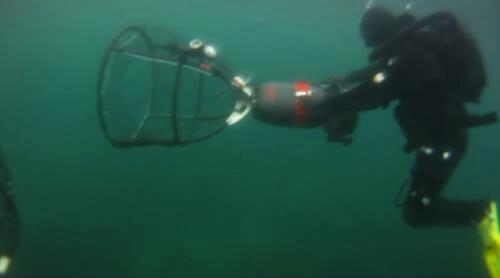 video thumbnail: Pacific Nearshore Project: Catching Sea Otters in the Wild