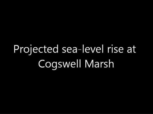 video thumbnail: Sea-level Rise Scenario for San Francisco Bay Estuary - Cogswell Marsh