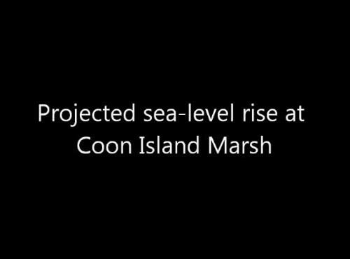 video thumbnail: Sea-level Rise Scenario for San Francisco Bay Estuary - Coon Island